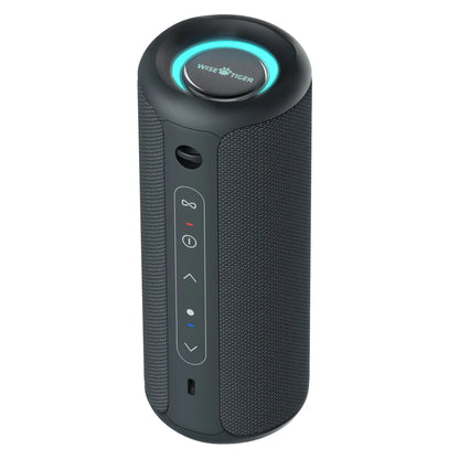 WISE TIGER P3 Portable Bluetooth Speaker – 30W, IPX7 Waterproof, 20-Hour Playtime, RGB Lights